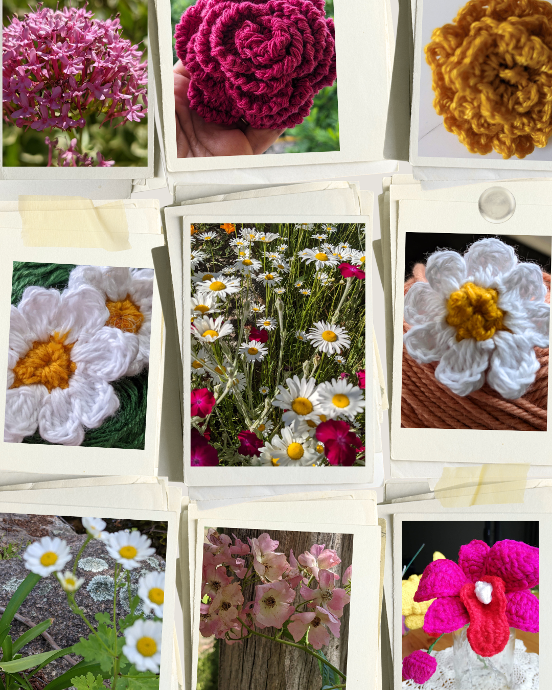 Farmstay Flowers